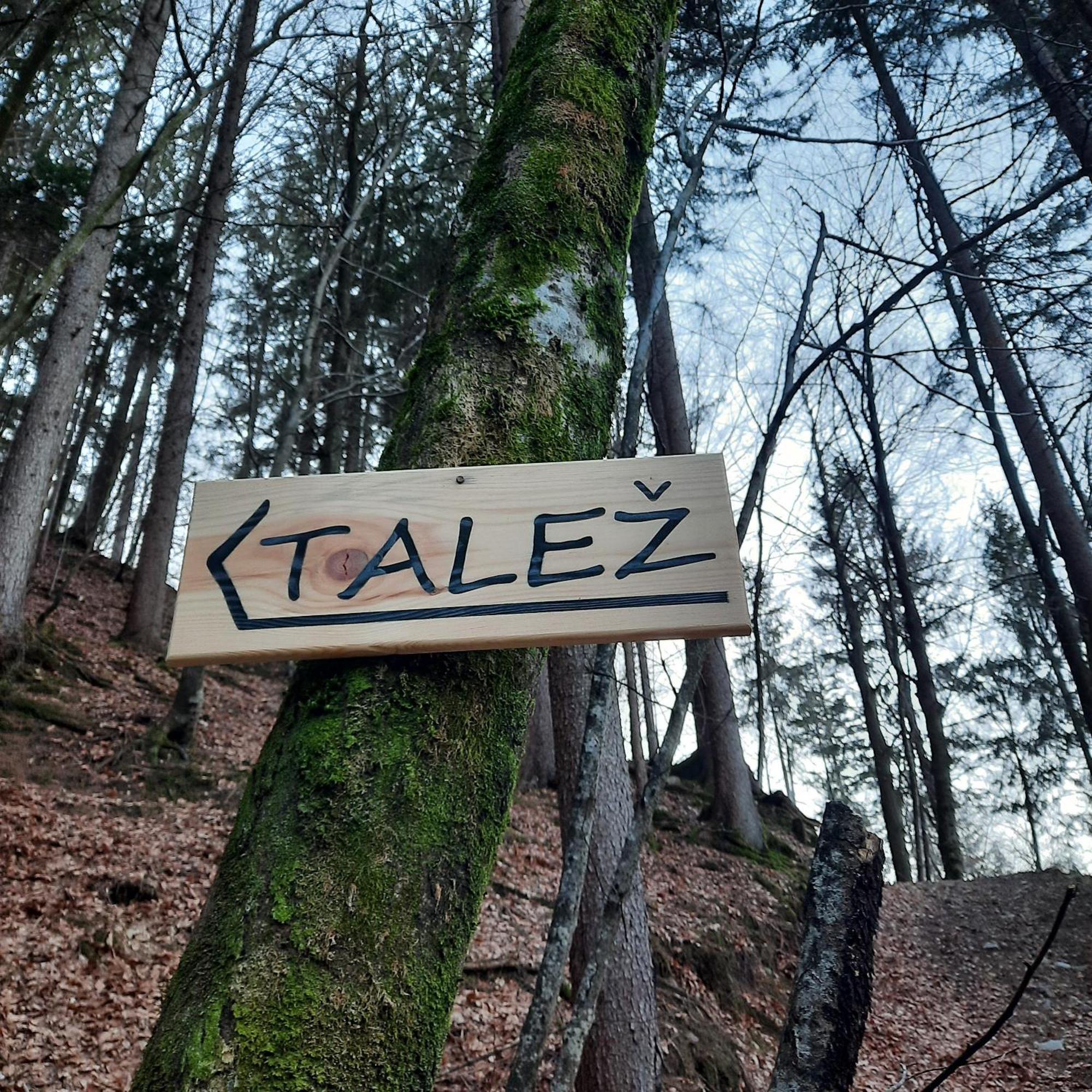 Koca V Gozdu, Forest House Near Bled Kültér fotó