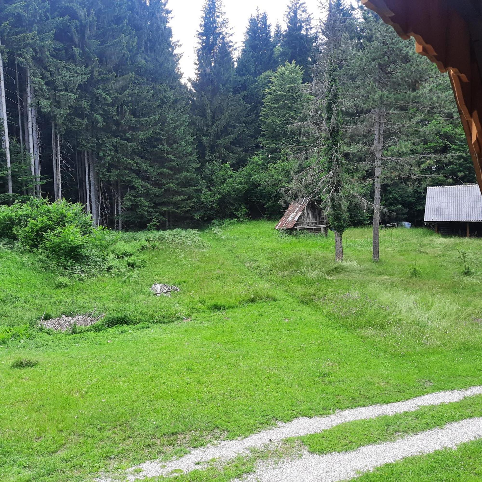 Koca V Gozdu, Forest House Near Bled Kültér fotó