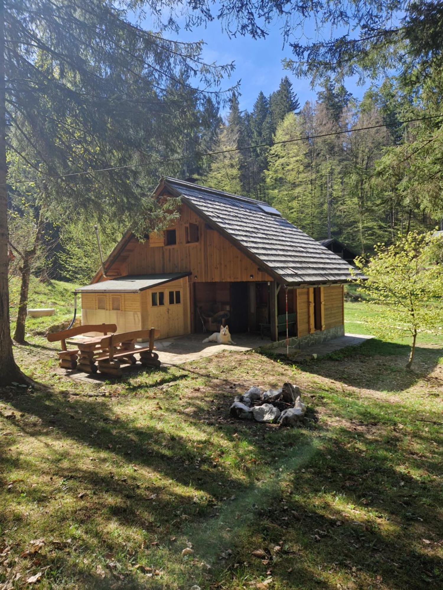 Koca V Gozdu, Forest House Near Bled Kültér fotó